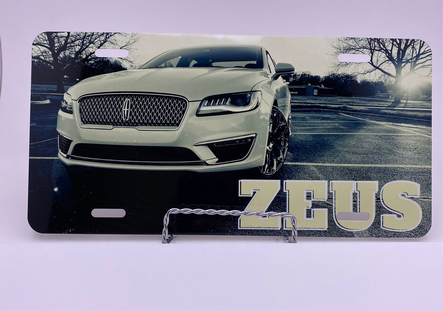 Personalized License Plate with Custom Photo and Text